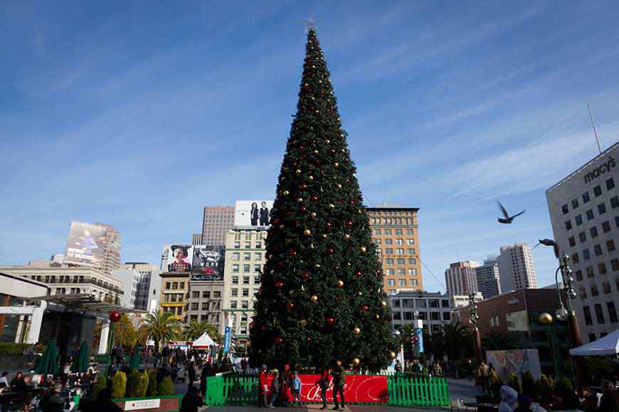 Union Square Tree