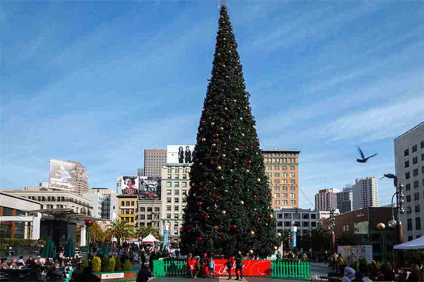 Christmas Tree Union Square