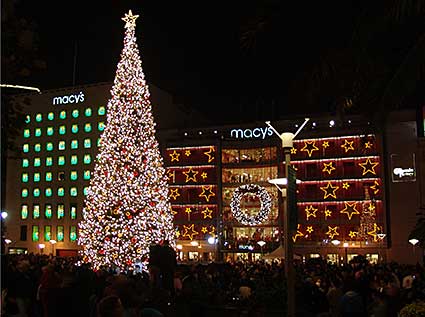 Union Square Christmas Tree the Night of the Lighting