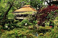 Japanese Tea Gardens in Golden Gate Park